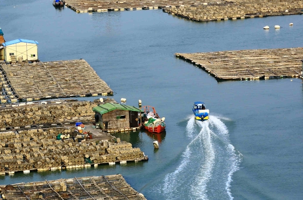 天津貨代行業(yè)在發(fā)展過程中，逐漸形成了獨(dú)特的服務(wù)特色和優(yōu)勢