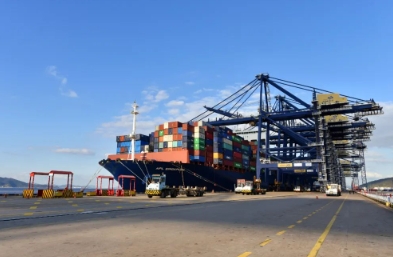 天津貨代公司以?xún)?yōu)質(zhì)的服務(wù)，在全球貿(mào)易舞臺(tái)上綻放著光芒