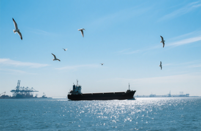 上海貨運代理公司：服裝進口的 “通關(guān)密鑰” 與 “物流導師”