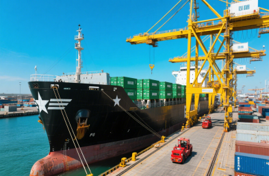 國際海運物流公司：高效運輸，縮短木材出口時空距離